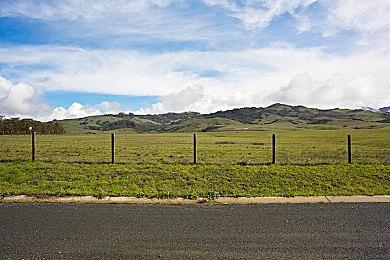 《鸣蟇村》登陆Steam 日式恐怖探险逃生