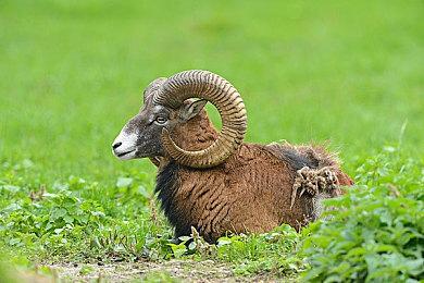 【新品节Demo开启】 推币机模拟器 正式开放下载！