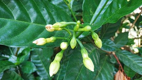 2023年高分大作井喷式爆发 数量为近20年之最