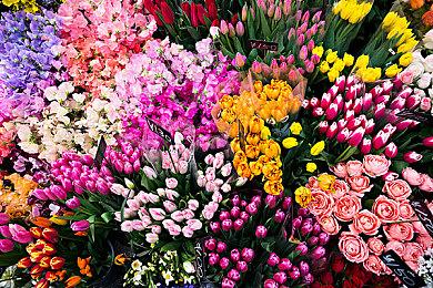 小岛秀夫评价《12分钟》：让我有点想做一款冒险游戏